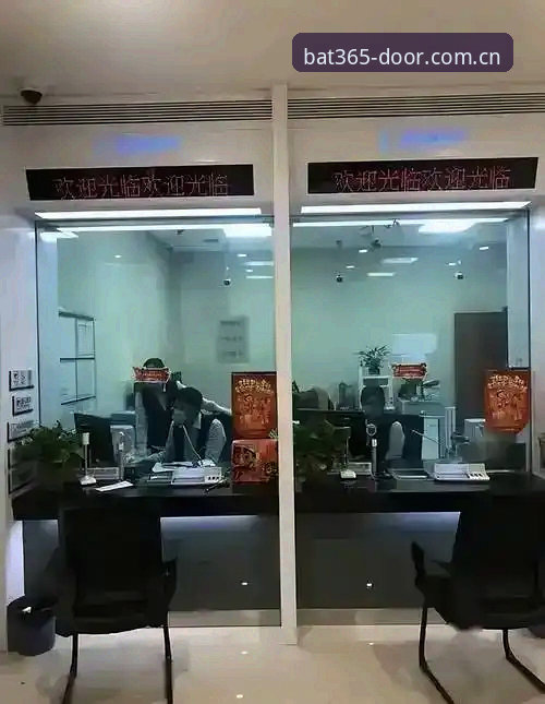 用了两周bat365娱乐平台V4版，说说国内访问窗口的真实体验